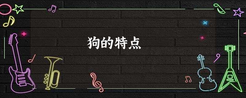 狗的特点 狗的特点