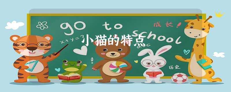 小猫的特点 小猫的特点