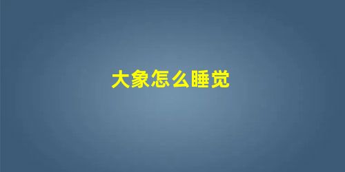 大象怎么睡觉 大象怎么睡觉
