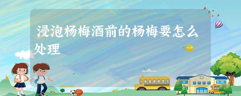 浸泡杨梅酒前的杨梅要怎么处理 浸泡杨梅酒前的杨梅要怎么处理
