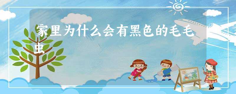 家里为什么会有黑色的毛毛虫 家里为什么会有黑色的毛毛虫