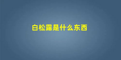 白松露是什么东西 白松露是什么东西
