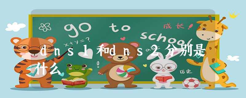 dns1和dns2分别是什么 dns1和dns2分别是什么