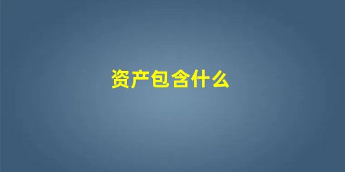 资产包含什么 资产包含什么
