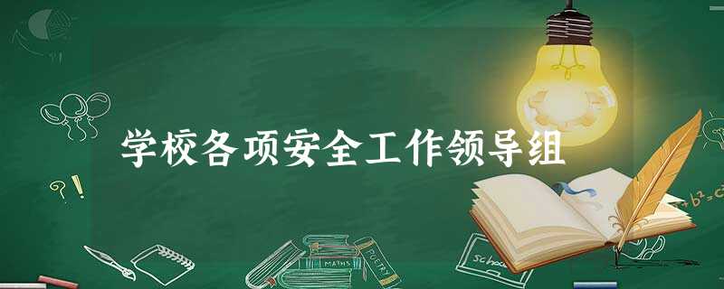 学校各项安全工作领导组 学校各项安全工作领导组