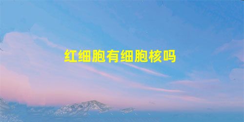 红细胞有细胞核吗 红细胞有细胞核吗