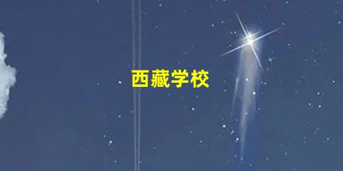 西藏学校 西藏学校