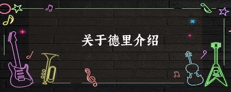 关于德里介绍 关于德里介绍