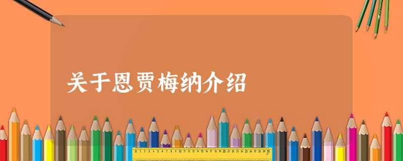 关于恩贾梅纳介绍 关于恩贾梅纳介绍