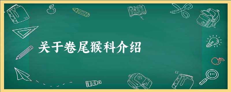 关于卷尾猴科介绍 关于卷尾猴科介绍