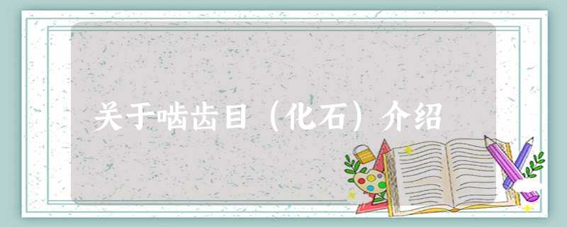 关于啮齿目(化石)介绍 关于啮齿目(化石)介绍