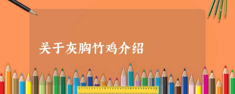 关于灰胸竹鸡介绍 关于灰胸竹鸡介绍