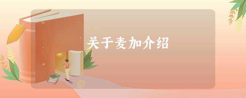 关于麦加介绍 关于麦加介绍