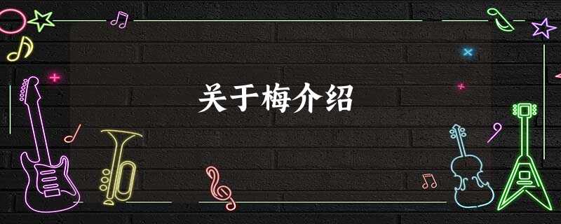 关于梅介绍 关于梅介绍