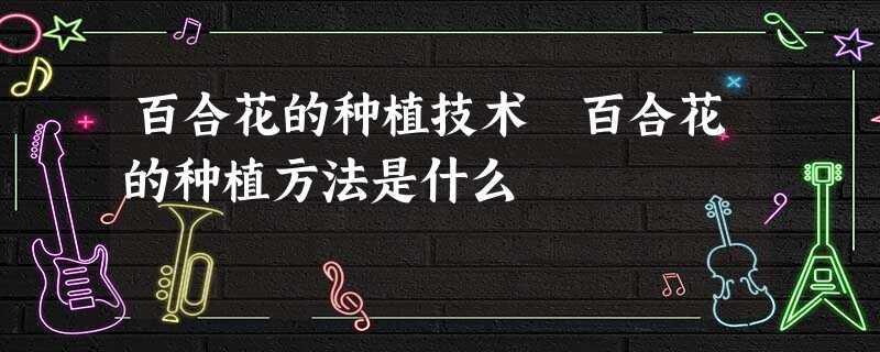 百合花的种植技术 百合花的种植方法是什么 百合花的种植技术 百合花的种植方法是什么