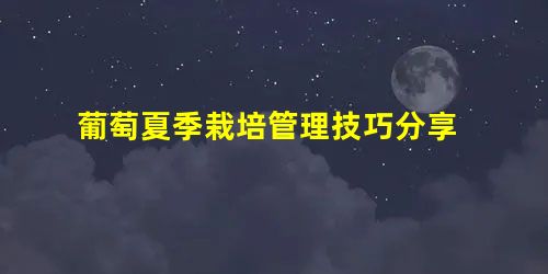 葡萄夏季栽培管理技巧分享 葡萄夏季栽培管理技巧分享