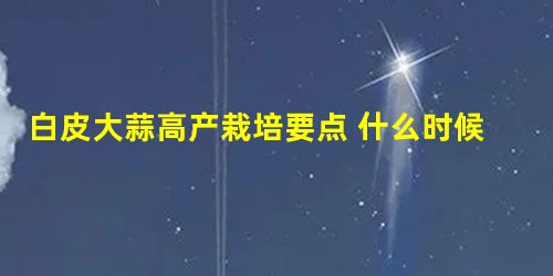 白皮大蒜高产栽培要点 什么时候丰收 白皮大蒜高产栽培要点 什么时候丰收