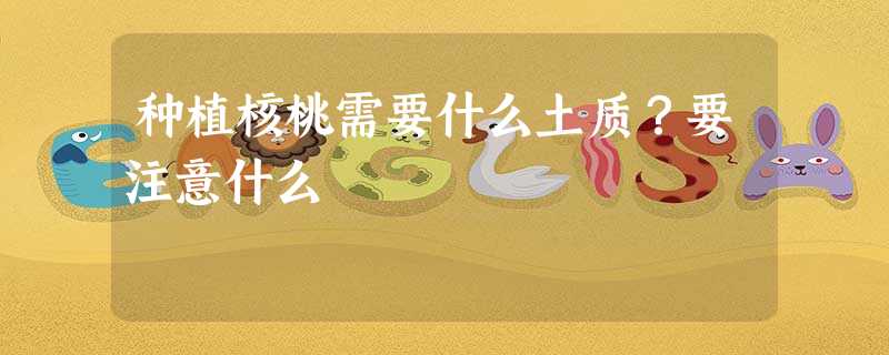 种植核桃需要什么土质?要注意什么 种植核桃需要什么土质?要注意什么