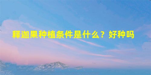 释迦果种植条件是什么?好种吗 释迦果种植条件是什么?好种吗