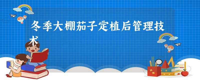 冬季大棚茄子定植后管理技术 冬季大棚茄子定植后管理技术