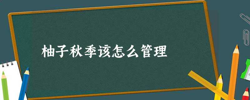 柚子秋季该怎么管理 柚子秋季该怎么管理