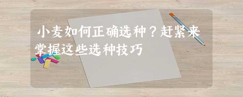 小麦如何正确选种?赶紧来掌握这些选种技巧 小麦如何正确选种?赶紧来掌握这些选种技巧