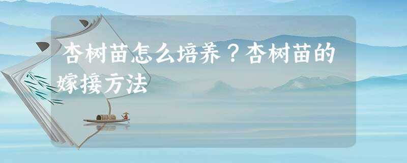 杏树苗怎么培养?杏树苗的嫁接方法 杏树苗怎么培养?杏树苗的嫁接方法