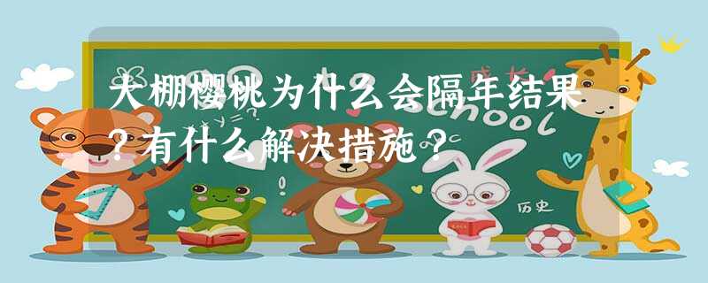 大棚樱桃为什么会隔年结果?有什么解决措施? 大棚樱桃为什么会隔年结果?有什么解决措施?