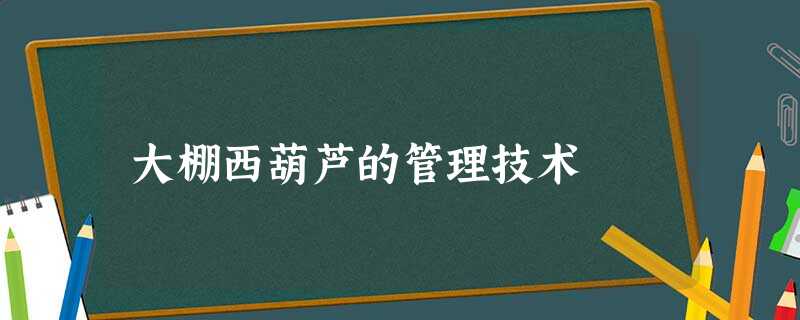 大棚西葫芦的管理技术 大棚西葫芦的管理技术