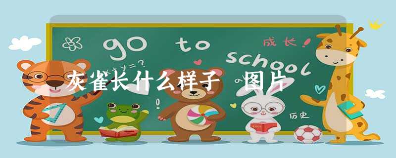 灰雀长什么样子 图片 灰雀长什么样子 图片