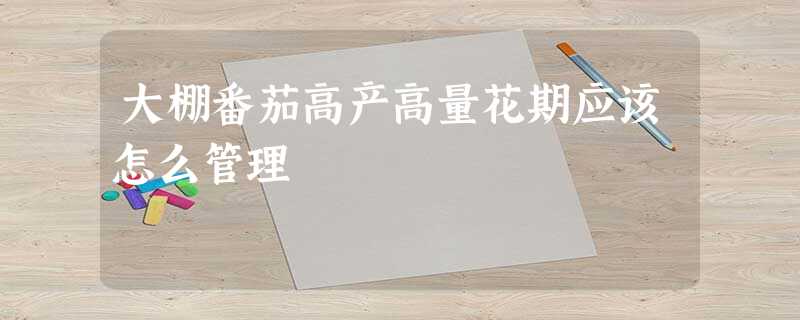 大棚番茄高产高量花期应该怎么管理 大棚番茄高产高量花期应该怎么管理