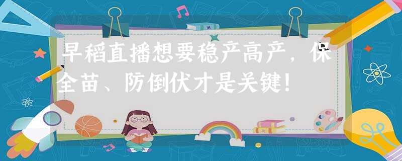 早稻直播想要稳产高产,保全苗、防倒伏才是关键! 早稻直播想要稳产高产,保全苗、防倒伏才是关键!