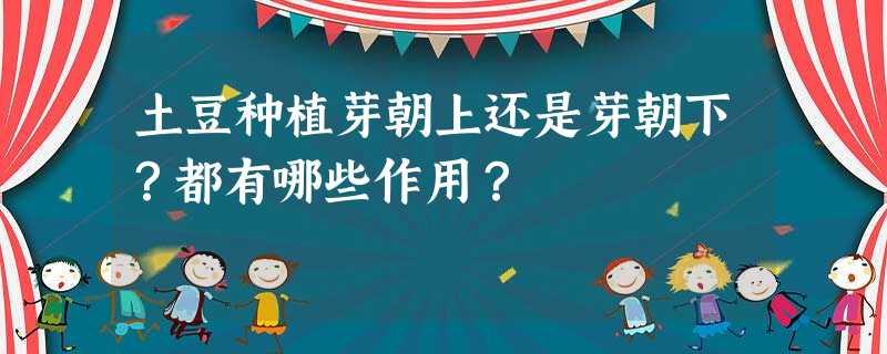 土豆种植芽朝上还是芽朝下?都有哪些作用? 土豆种植芽朝上还是芽朝下?都有哪些作用?