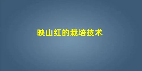 映山红的栽培技术 映山红的栽培技术