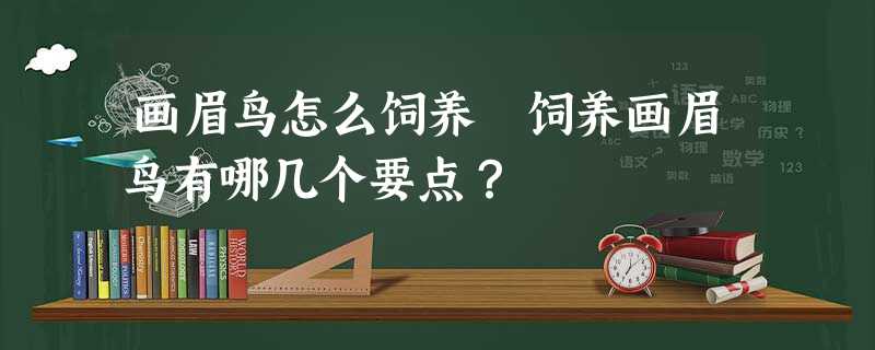 画眉鸟怎么饲养 饲养画眉鸟有哪几个要点? 画眉鸟怎么饲养 饲养画眉鸟有哪几个要点?