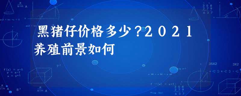 黑猪仔价格多少?2021养殖前景如何 黑猪仔价格多少?2021养殖前景如何