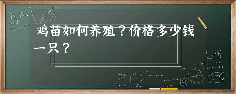 鸡苗如何养殖?价格多少钱一只? 鸡苗如何养殖?价格多少钱一只?
