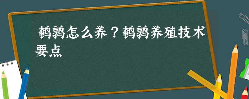 鹌鹑怎么养?鹌鹑养殖技术要点 鹌鹑怎么养?鹌鹑养殖技术要点