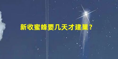 新收蜜蜂要几天才建巢? 新收蜜蜂要几天才建巢?