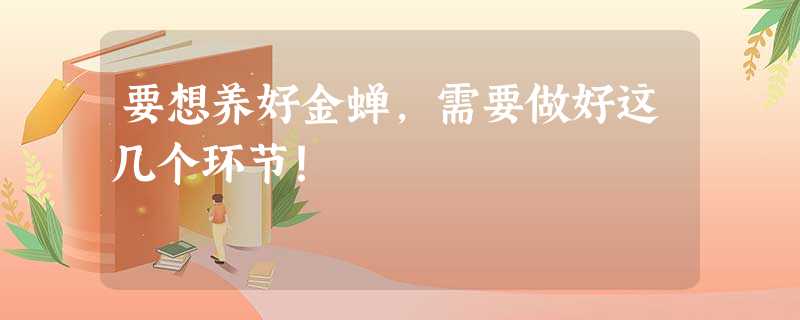 要想养好金蝉,需要做好这几个环节! 要想养好金蝉,需要做好这几个环节!