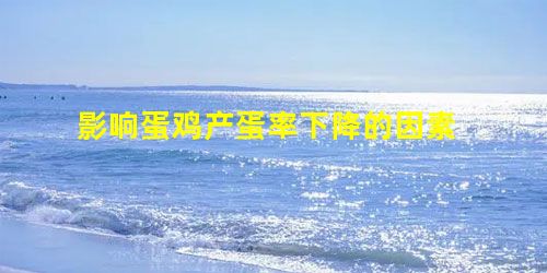 影响蛋鸡产蛋率下降的因素 影响蛋鸡产蛋率下降的因素