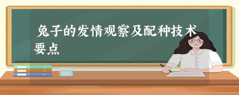 兔子的发情观察及配种技术要点 兔子的发情观察及配种技术要点