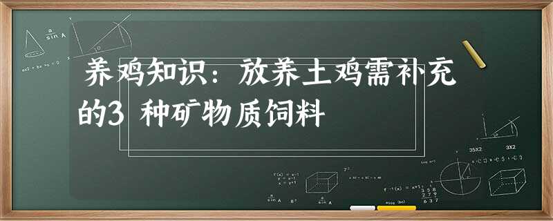 养鸡知识:放养土鸡需补充的3种矿物质饲料 养鸡知识:放养土鸡需补充的3种矿物质饲料