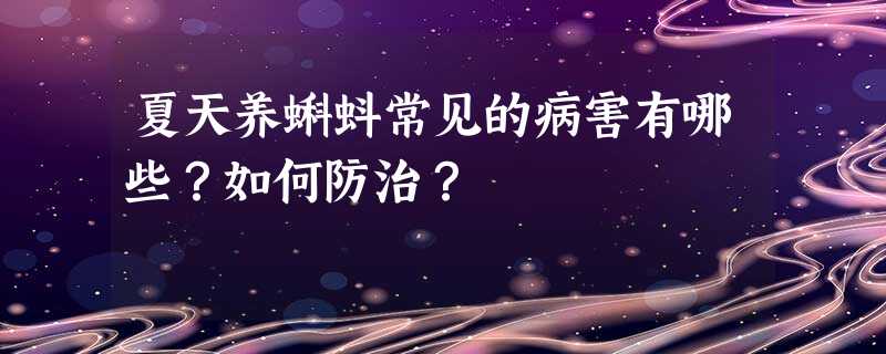 夏天养蝌蚪常见的病害有哪些?如何防治? 夏天养蝌蚪常见的病害有哪些?如何防治?