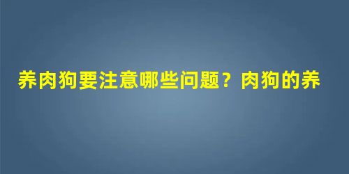 养肉狗要注意哪些问题?肉狗的养殖技术介绍 养肉狗要注意哪些问题?肉狗的养殖技术介绍