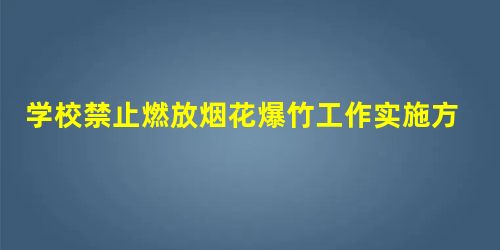 学校禁止燃放烟花爆竹工作实施方案 学校禁止燃放烟花爆竹工作实施方案
