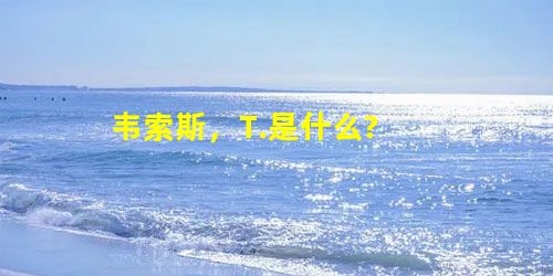 韦索斯,T.是什么? 韦索斯,T.是什么?