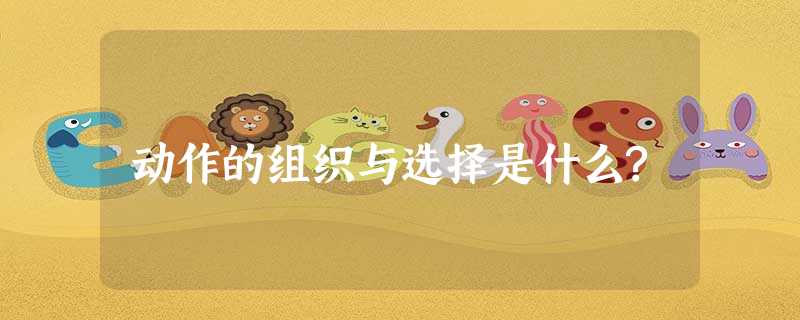 动作的组织与选择是什么? 动作的组织与选择是什么?