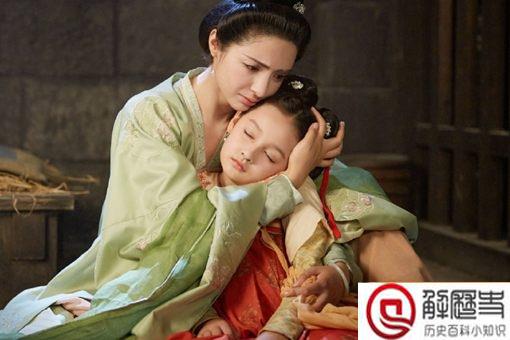 库狄氏是华阳夫人吗