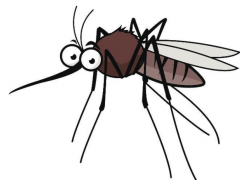 60只蚊子写作文